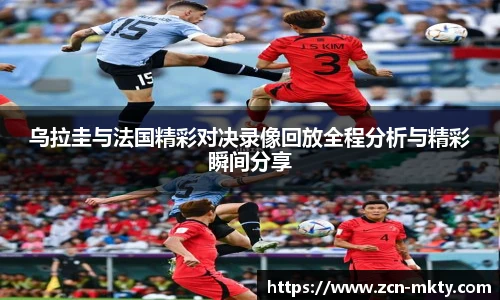 MK体育